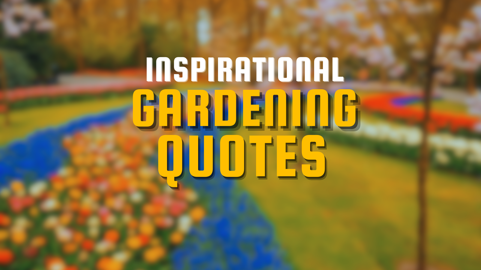 Best garden quotes