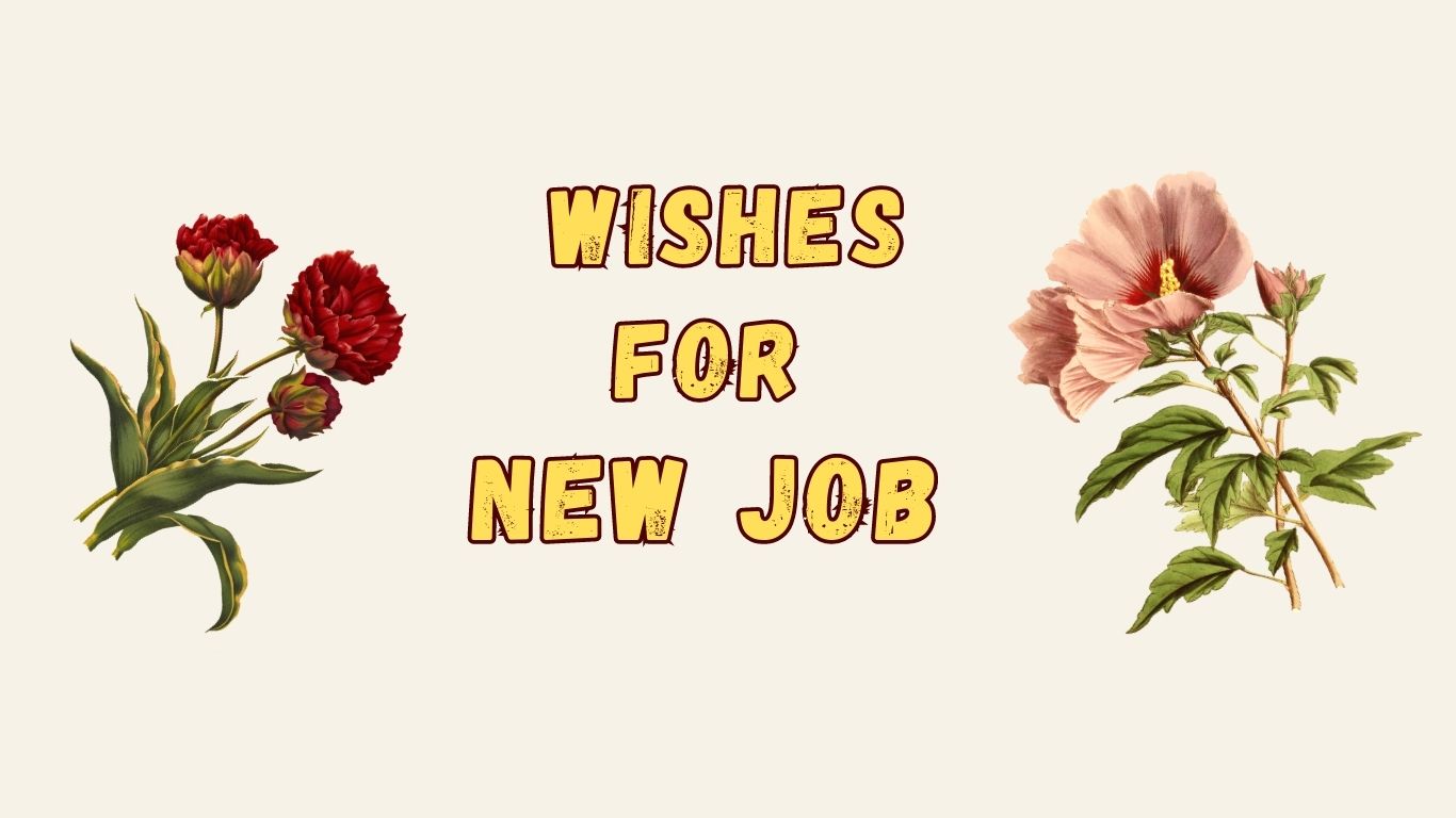 Best Wishes for New Job – Congratulations Messages